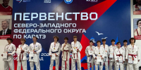 Восемь медалей завоевали каратисты Коми на первенстве СЗФО - ИА Комиинформ