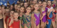 Волгодонские гимнастки стали чемпионками турнира в Ростове - DonDay-Volgodonsk.Ru