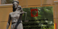 Экс-директору воронежской фирмы, укравшему 700 тыс рублей при установке котельной в школе, ужесточили наказание - РИА Воронеж