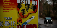 В Ленобласти завершился пожароопасный сезон - Online47.Ru