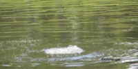 В Башкирии пресекли незаконную добычу воды банным комплексом - Башинформ