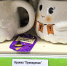 Коллекция к «Хэллоуину» в Fix Price: кружка-привидение за 249 ₽, тарелка-паучок за 124 ₽ и светодиодные свечи за 79 ₽ — 7 атмосферных находок - Город Киров