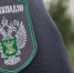 Россельхознадзор по Дагестану разъяснил правила борьбы с коричневым мраморным клопом - РИА Дагестан