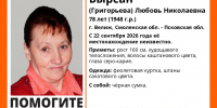 Изображение: группа поискового отряда «ЛизаАлерт» в соцсети «ВКонтакте» - InformPskov.Ru