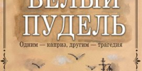 Ульяновский театр кукол готовит премьеру спектакля «Белый пудель» - Ulpravda.Ru