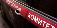 В Петербурге нашли третьеклассника, ушедшего из дома на Рябовском шоссе - tvspb.ru - ТК Санкт-Петербург