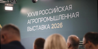 Картинка - Regions.Ru