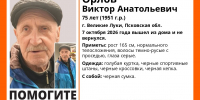 Изображение: группа поискового отряда «ЛизаАлерт» в соцсети «ВКонтакте» - InformPskov.Ru