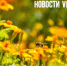 Сегодня во Владивостоке снова потеплеет до +20 °C - NewsVl.Ru