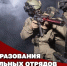 Директор Росгвардии Герой России генерал армии Виктор Золотов поздравил личный состав и ветеранов СОБР с профессиональным праздником - Росгвардия