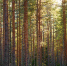 Картинка - Regions.Ru