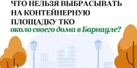 Куда девать старый диван, ветки и шины? Разбираемся с правилами чистоты в Барнауле - Администрация г. Барнаул