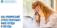 Как хронический стресс разрушает ваше сердце и сосуды - КГБУЗ ККЦМП