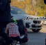 Из головы текла кровь в центре Благовещенска сбили молодую девушку - Amur.Life