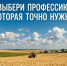 Выбери профессию, которая точно нужна и работай там, где тебя ждут!. - Шипуновский район