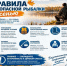 ГО ЧС напоминает об основных правилах безопасной рыбалке осенью. - Змеиногорский район