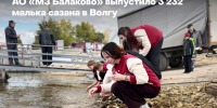 Металлурги МЗ Балаково и студенты выпустили в Волгу больше 3 тысяч мальков сазана - ProBalakovo.Ru
