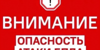 Звучали сирены. В Оренбурге и Орске из-за угрозы БПЛА закрыли участки дорог - Yuzh-Ural.Ru