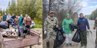 В Югре подводят итоги второго этапа экологической акции «Чистый лес» - ИД Новости Югры