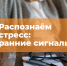 Изображение без описания. - Миасский городской округ