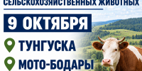 Важная информация для владельцев сельскохозяйственных животных. - Администрация Черемховского района
