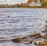 Фото: ПАИ - InformPskov.Ru