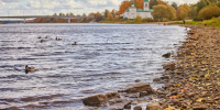 Фото: ПАИ - InformPskov.Ru