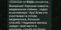 «Знал бы он, как добывать пищу»: пойманного в Тюменской области медвежонка не отпустят обратно в лес после поимкифото - Комсомольская правда