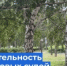   - Управление по обеспечению деятельности судей