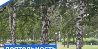   - Управление по обеспечению деятельности судей