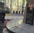 30 сентября военнослужащие и сотрудники Сил специального назначения Росгвардии отмечают профессиональный праздник — День сил специального назначения. - Росгвардия