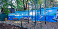 «Сквер почёта», «Двор активного притяжения» и «Островок отдыха» появились во Владивостоке - Администрация г. Владивостока