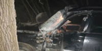 Пьяный подросток врезался на машине в дерево в Партизанске, пострадали два человека - NewsVl.Ru