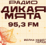 Радио «Дикая Мята» начало вещание в Алексине на частоте 95,3FM - Aleksin-City.Info