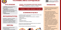 О профилактике бруцеллеза - Роспотребнадзор Чувашии