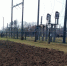 IMG-20241009-WA0006.jpg - GorodnaBire.Ru