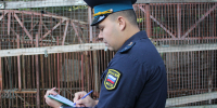 Переезд медведиц в новый дом под контролем судебного пристава - УФССП России по Ростовской области