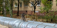 Клычков: кто-то просит отключить отопление - РИА 57