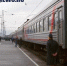 Товарный поезд сбил лося в Костромской области - K1News.Ru