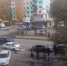 В Бийске на ул. Митрофанова произошло ДТП с тремя машинами - Газета Бийский рабочий