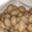 Американская компания скупает отрадненский картофель для изготовления чипсов - Новая Газета Кубани