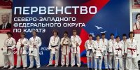 Каратисты из Коми взяли медали на первенстве СЗФО в Калининграде - Pg11.Ru