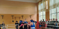 Товарищеская встреча по боксу - Кузнецкий район