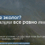 До 12 октября идет конкурс на получение стипендии Президентского фонда природы. - Великоустюгский муниципальный округ