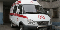 Прокуратура проводит проверку по факту нападения медведя на мальчика на Алтае - Комсомольская Правда