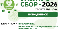 Новодвинск, встречай электросбор!. - Город Новодвинск
