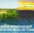 Влияние изменений климата на экосистемы и формирование новых арктических навыков обсудят в Якутии - Минэкономики РС(Я)