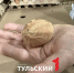 В тульской птицефабрике рассказали, как по скорлупе определить здоровье курицы - ТК Первый Тульский