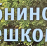 «Обнинск. Пешком» - вышла новая книга краеведа Алексея Собачкина - NgRegion.Ru