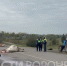 Водитель грузовика влетел в стадо коров в Таловском районе - ГТРК Воронеж
